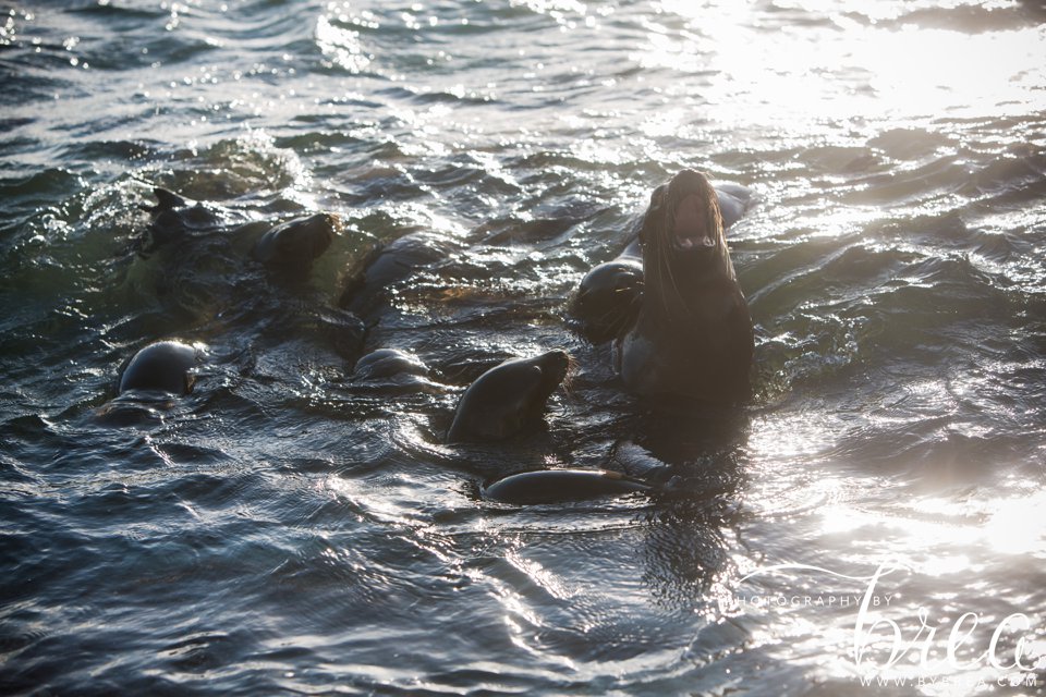 galapagos_islands_2014_0211