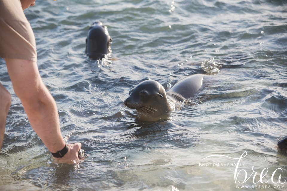 galapagos_islands_2014_0212