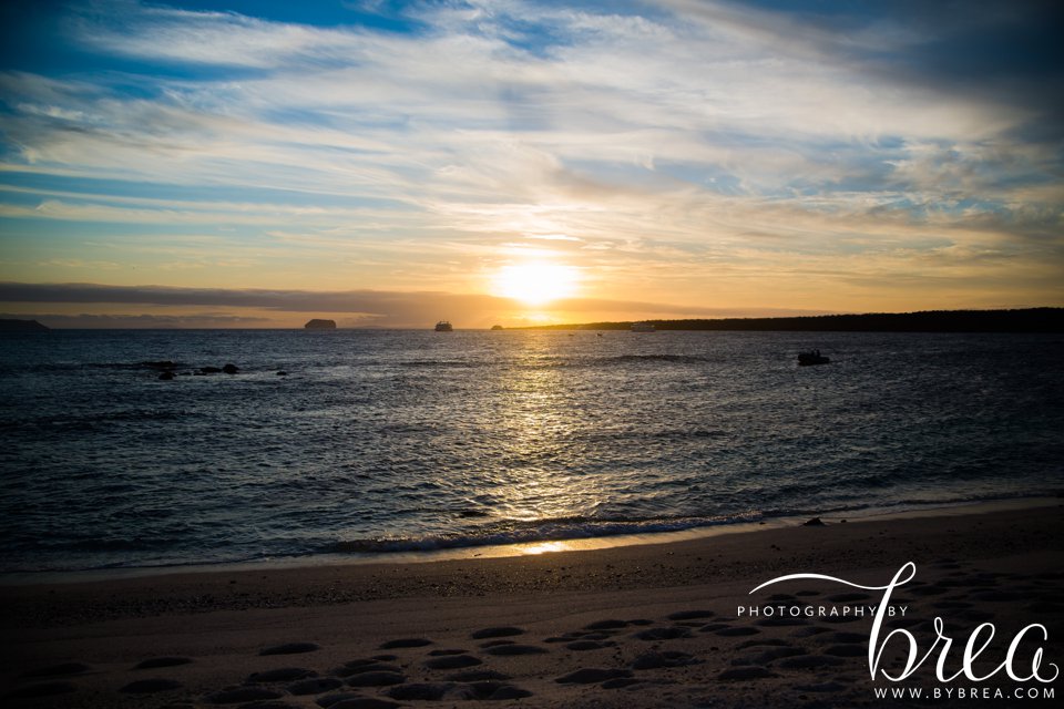 galapagos_islands_2014_0237