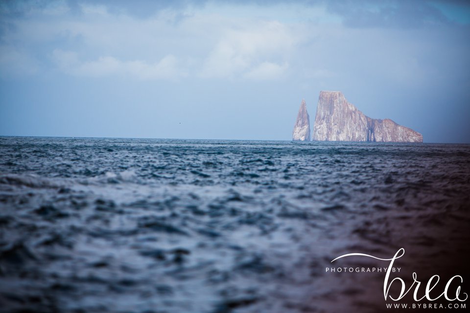 galapagos_islands_2014_0244