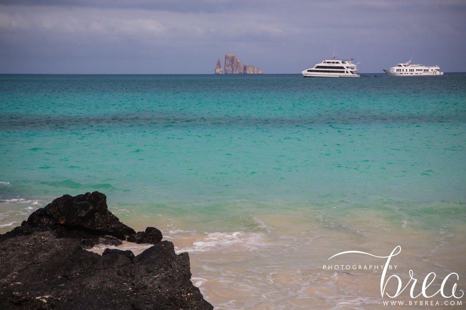 galapagos_islands_2014_0247