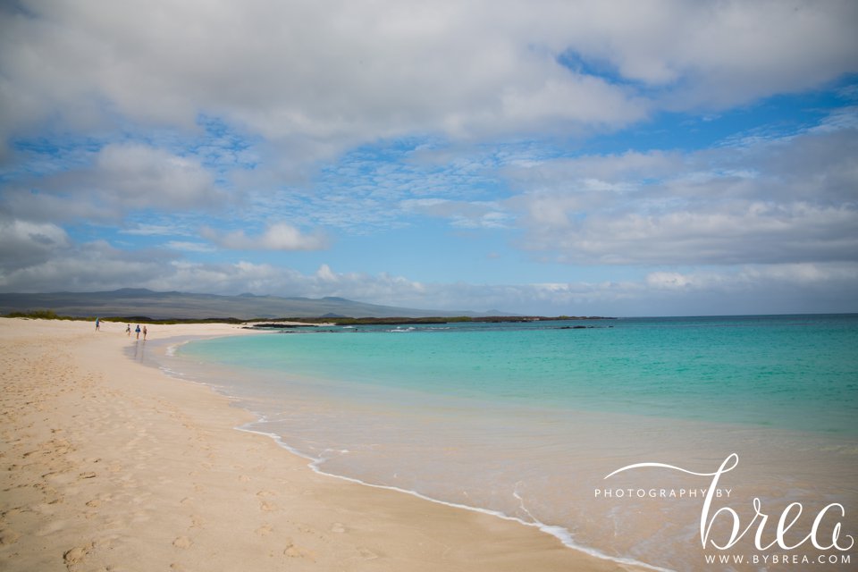 galapagos_islands_2014_0250