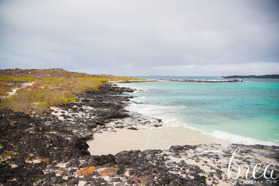 galapagos_islands_2014_0281