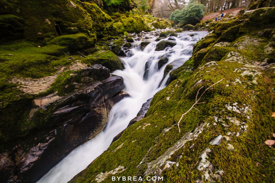 ireland-iceland-photography-by-brea_1232