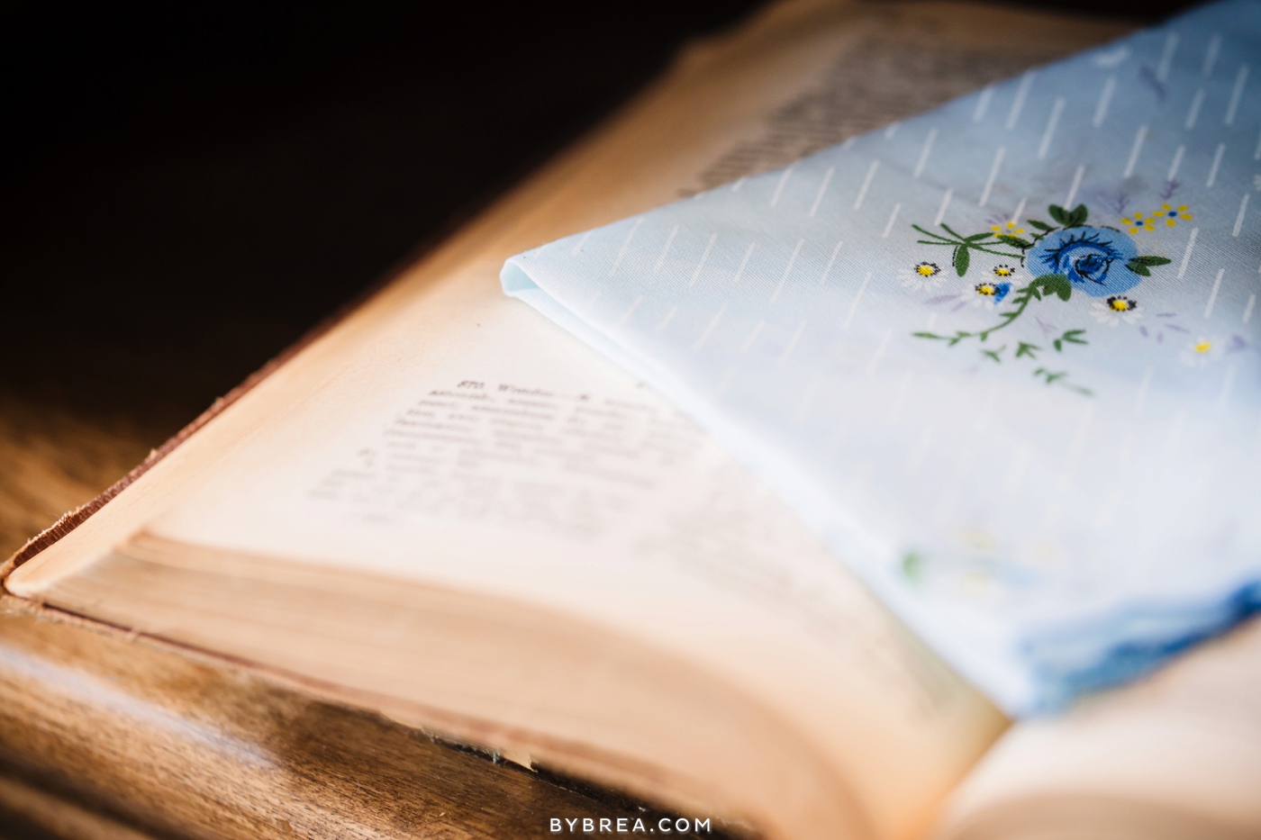 amanda-eric-peabody-library-baltimore-wedding_0063