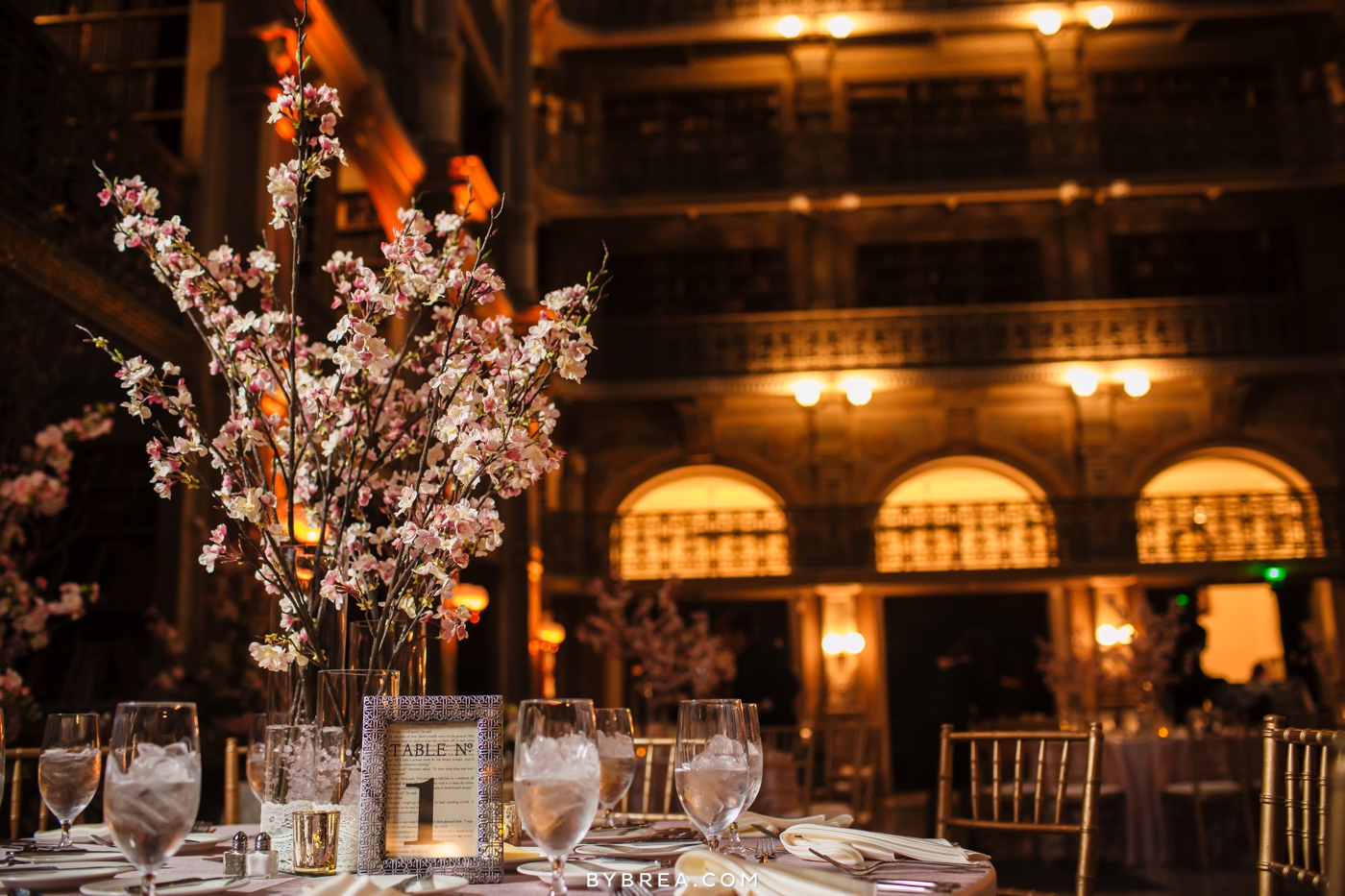 amanda-eric-peabody-library-baltimore-wedding_0105