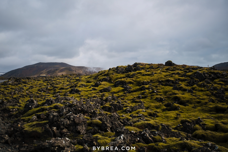 ireland-iceland-photography-by-brea_1258