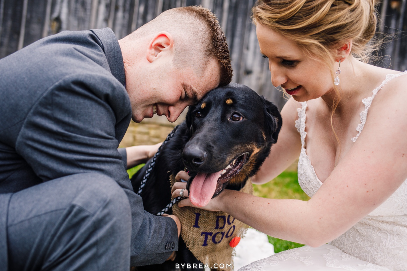 Wedding day doggies - Kristen and Jim