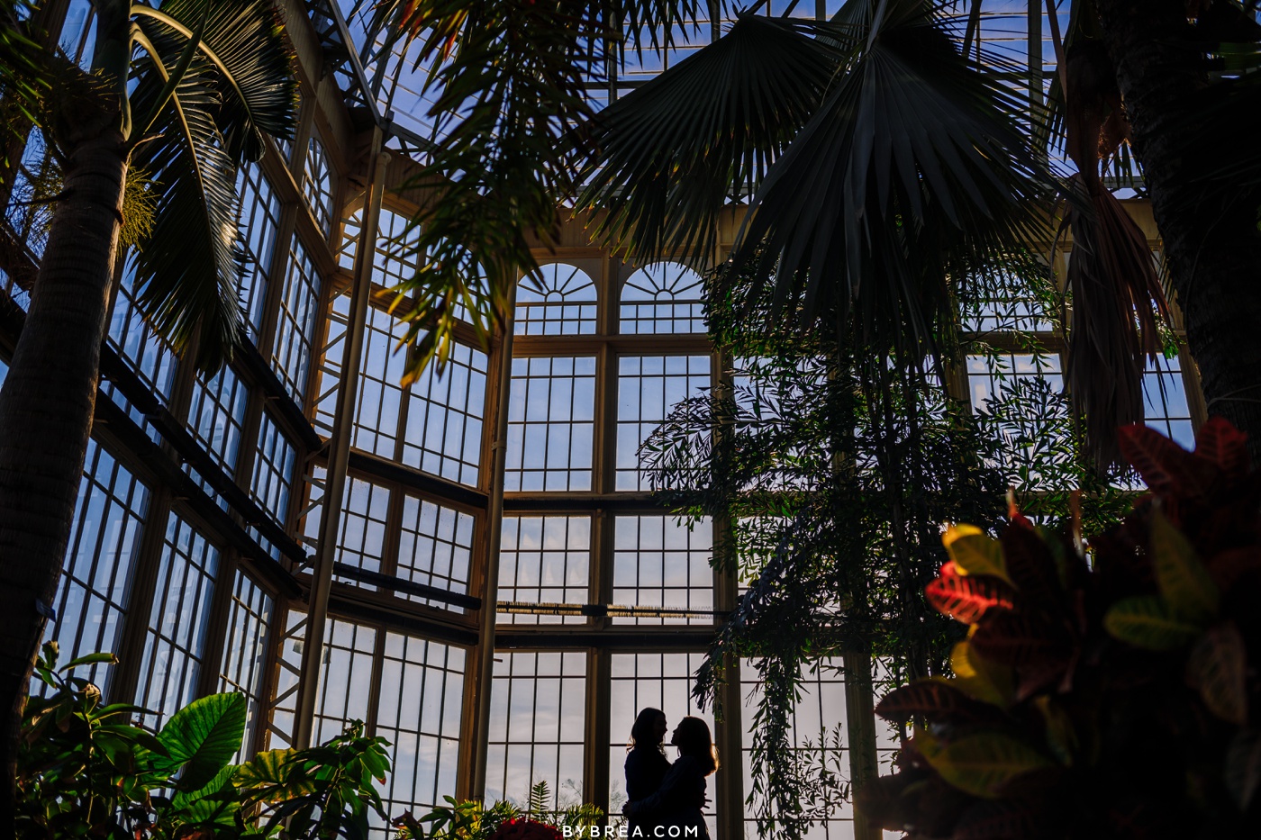 Silhouette photo of same sex couple Rawling's Conservatory engagement photos 