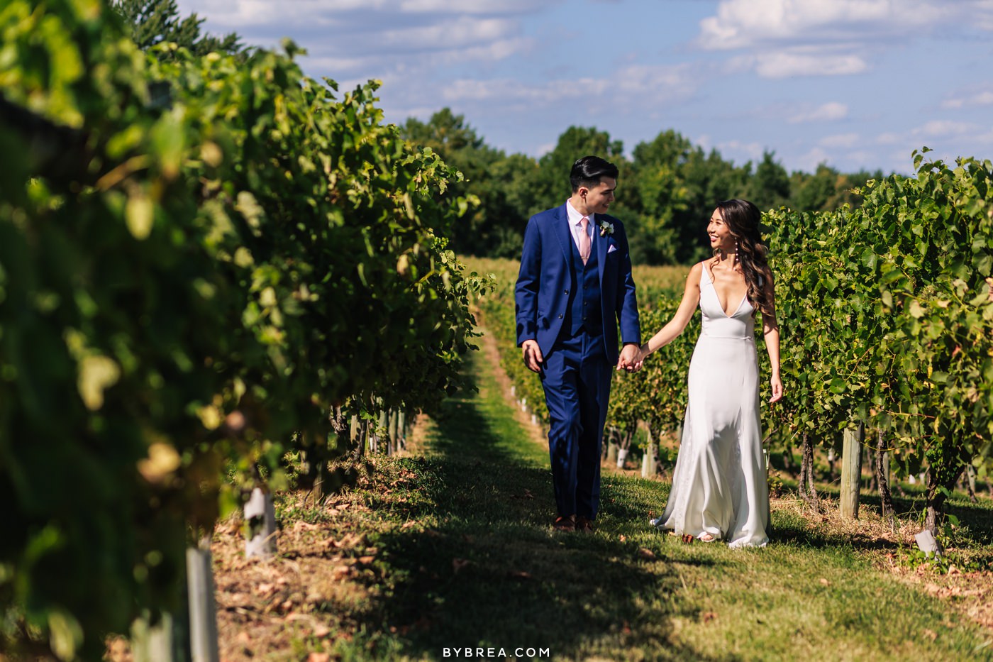 springfield manor vineyard photo