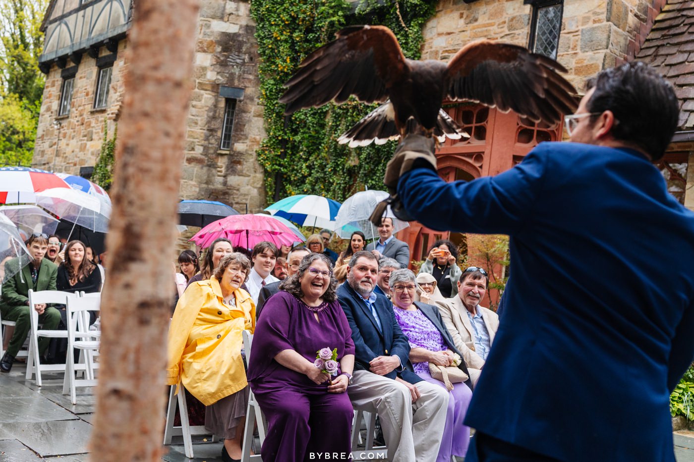 Falcon delivers wedding rings at Cloisters Castle wedding ceremony